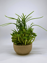 Green Artificial Succulent Arrangement